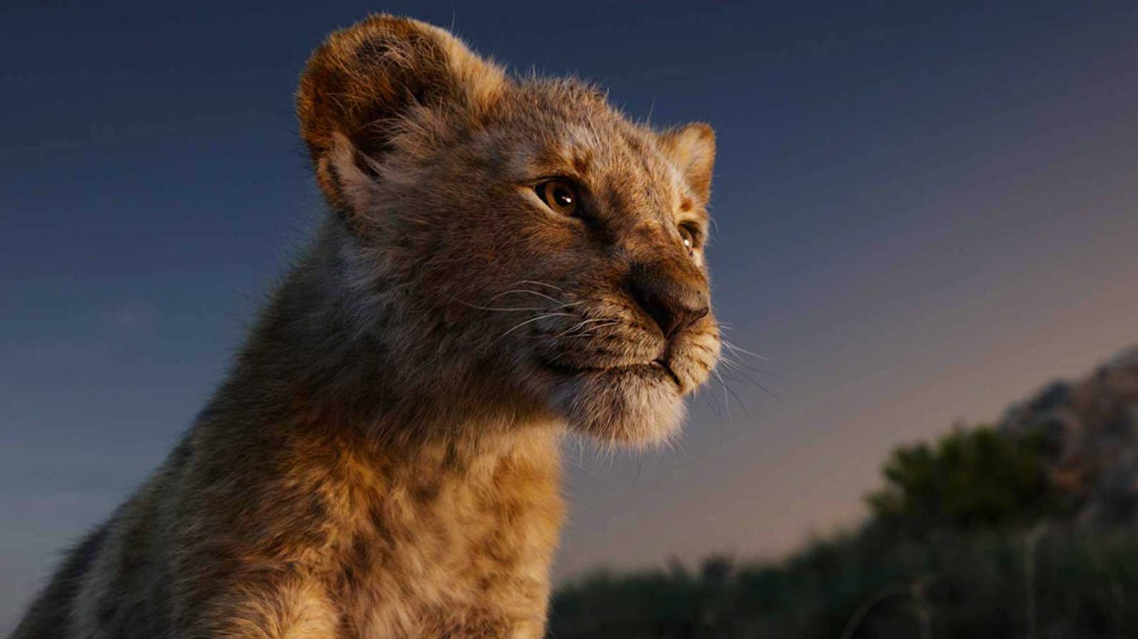 Recensione del live action del Re Leone, remake live di Jon Favreau